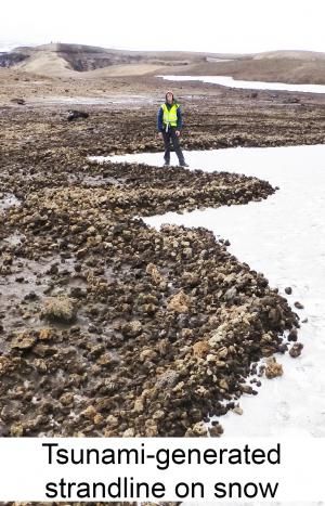 Tsunami-generated strandline on snow