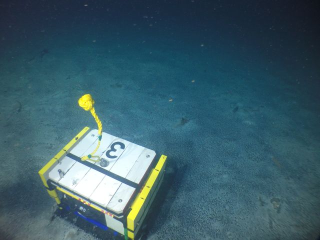 Basin experiences a season invasion of white bacterial mats